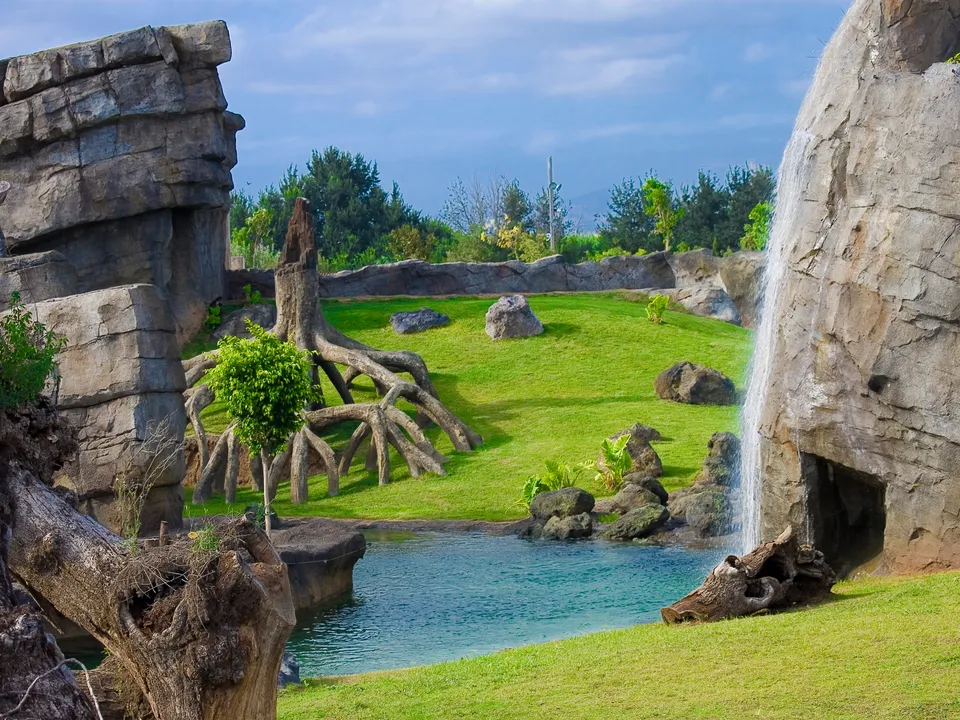 Rocky habitat and pond at BIOPARC Valencia